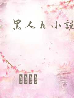 黑人 h 小说