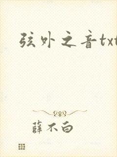 弦外之音txt