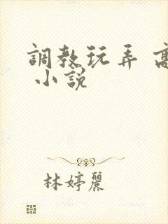 调教玩弄 高潮 小说