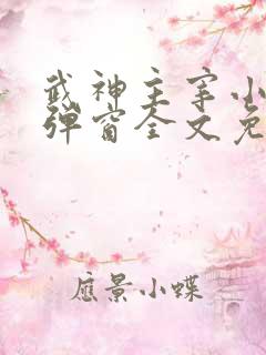 武神主宰小说无弹窗全文免费阅读