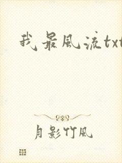 我最风流txt