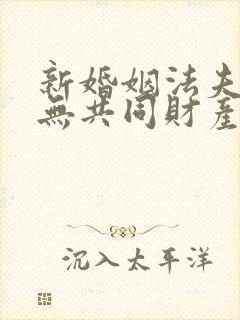 新婚姻法夫妻在无共同财产