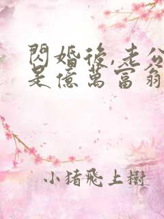 闪婚后,老公竟是亿万富翁全部章节