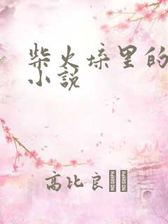 柴火垛里的疯狂小说