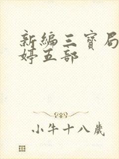 新编三宝局长许婷五部