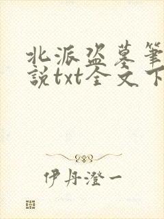 北派盗墓笔记小说txt全文下载