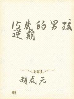 15岁的男孩叛逆期