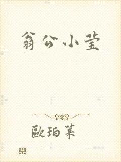 翁公小莹
