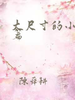 大尺寸的小说短篇