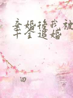 弃婚后我被首富千金追婚