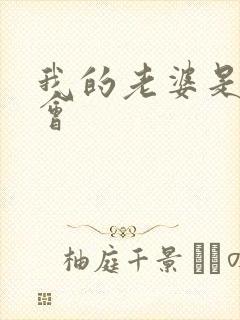 我的老婆是黑社会