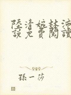 陆清婉林沛琛小说免费阅读最新章节