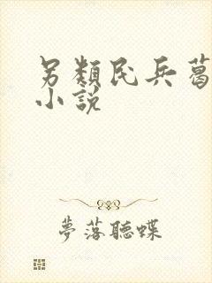 另类民兵葛二蛋小说