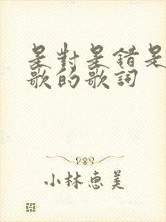 是对是错是哪首歌的歌词