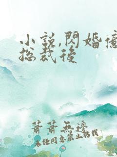 小说,闪婚亿万总裁后