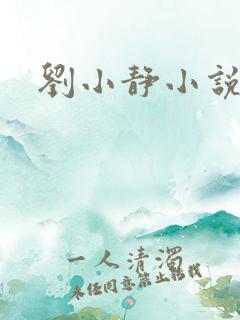 刘小静小说