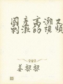 国产高潮又爽又刺激的视频免费