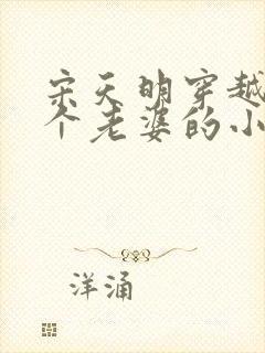 宋天明穿越娶三个老婆的小说