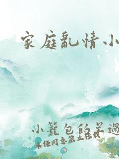家庭乱情小说
