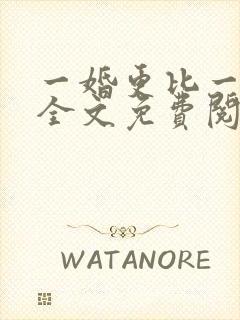 一婚更比一婚高全文免费阅读小说