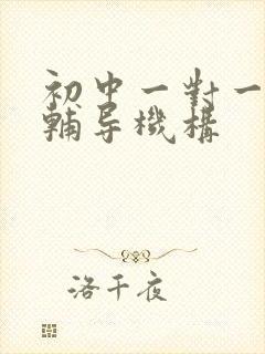 初中一对一数学辅导机构