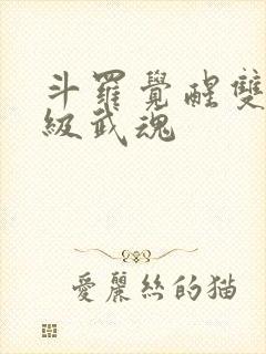 斗罗觉醒双生神级武魂