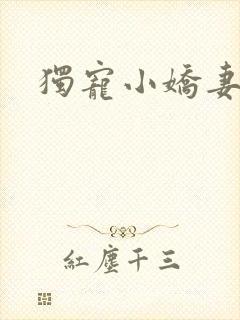 独宠小娇妻