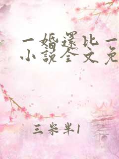 一婚还比一婚高小说全文免费阅读