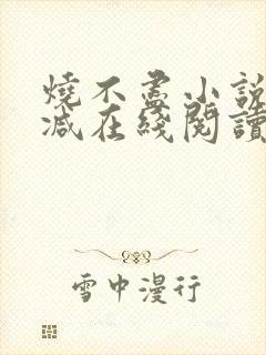 烧不尽小说无删减在线阅读