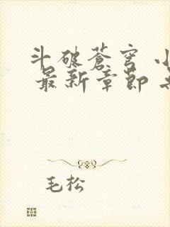 斗破苍穹 小说 最新章节 无弹窗