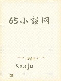 65小说网