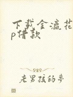 下载金瀛花app借款