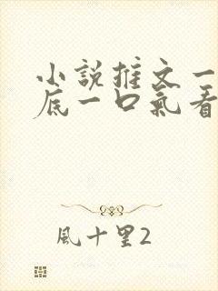 小说推文一更到底一口气看到结局双男主