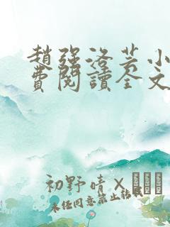 赵强洛芸小说免费阅读全文最新章节