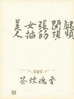 美女张开腿让男人插的视频