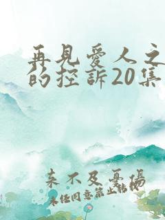 再见爱人之前妻的控诉20集