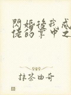 闪婚后我成了大佬的掌中之物删减部分