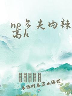 np多夫肉辣文高h