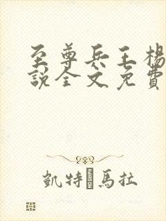 至尊兵王杨浩小说全文免费阅读