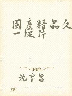 国产精品久久久一级片