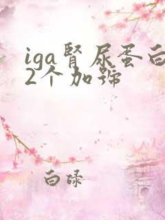 iga肾尿蛋白2个加号