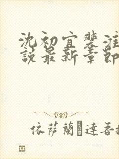 沈初宜裴淮聿小说最新章节免费阅读