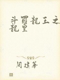 斗罗龙王之光暗龙皇