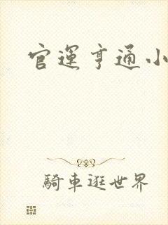 官运亨通小说