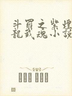 斗罗之紫煌灭天龙武魂小说