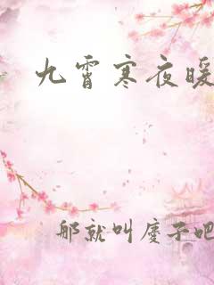 九霄寒夜暖小说