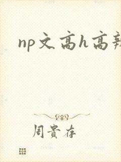 np文高h高辣