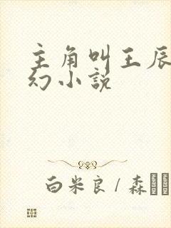 主角叫王辰的玄幻小说