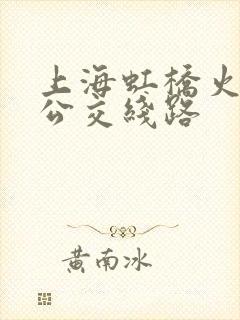 上海虹桥火车站公交线路