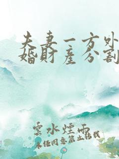 夫妻一方外遇离婚财产分割